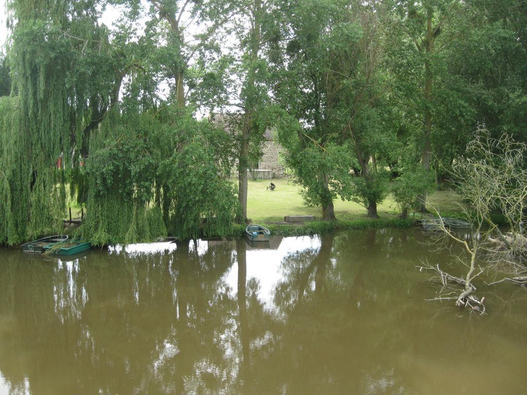 Moitron-sur-Sarthe Le Petitepinay B&B 외부 사진